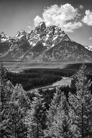 Snake River Overlook Black and White Vertical