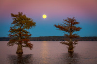 Full Moon at Caddo Lake