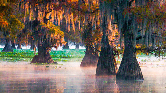 2024-11-15MikeMezCaddoLitMoss16_9Web