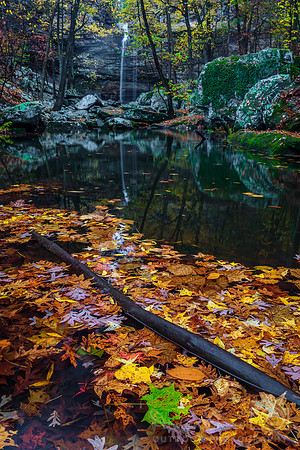 Leaves at Cedar Falls in Petit Jean State Park