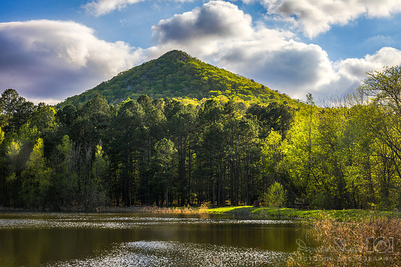 Pinnacle Mountain Pond