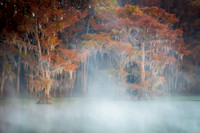 Caddo Lake Rising Fog