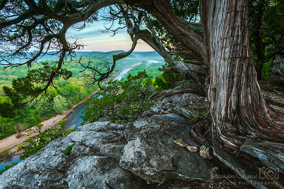 Twisted Cedar Overlook